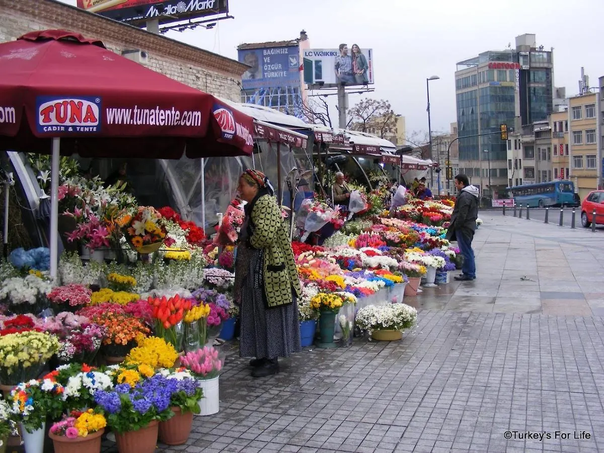 Taksim Lion 37 Studios Istanbul 0*,