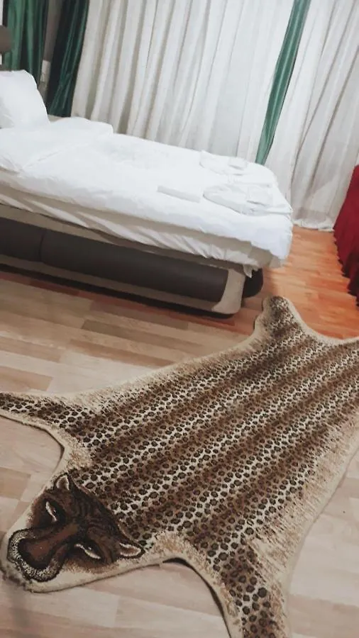 Taksim Lion 37 Studios Istanbul Hotell